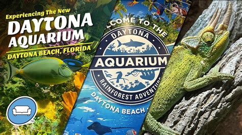 daytona aquarium admission.